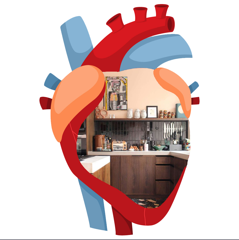 human-heart-diagram-anatomy-isolated-vector-29256270-1